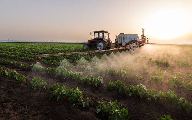 Insect Control in Bushnell, IL